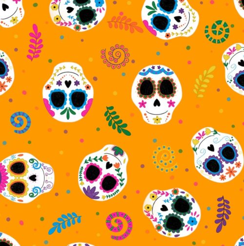 Vestido junior - Catrina