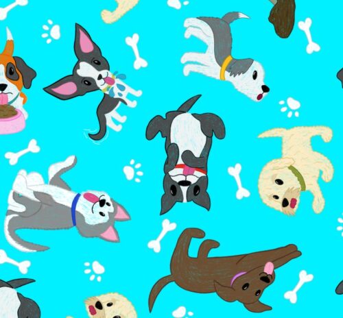 Bandanas caninas - Solovino