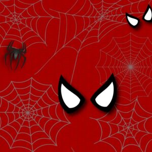 Gigins - spidy